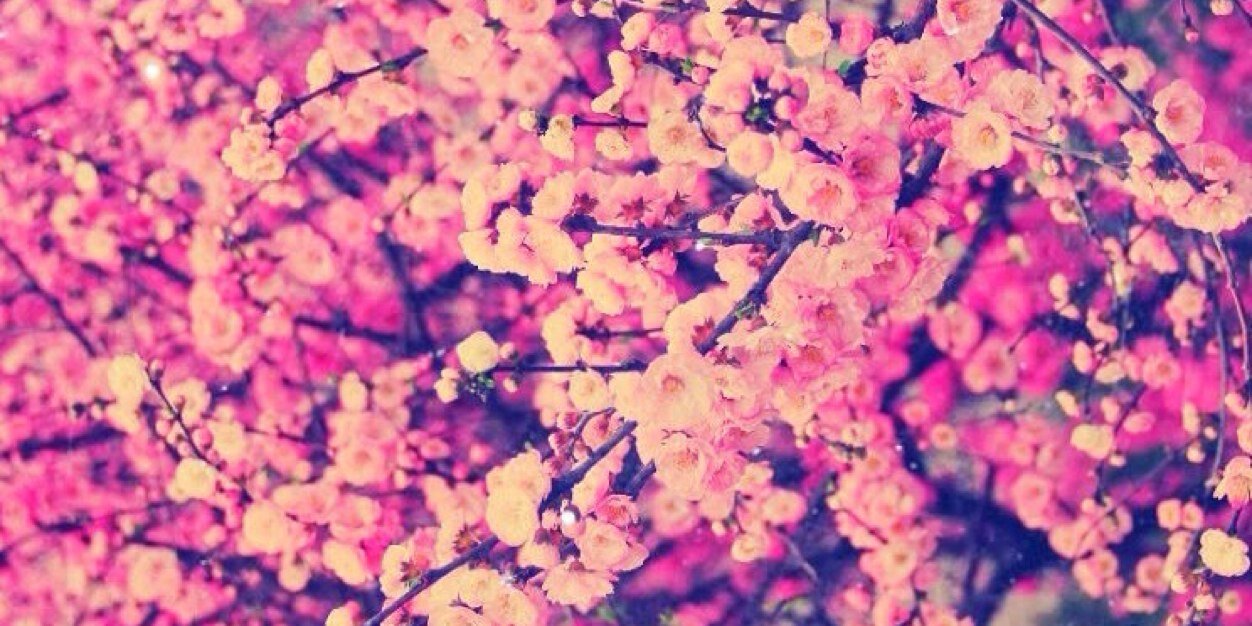 elenacondeca's profile banner image
