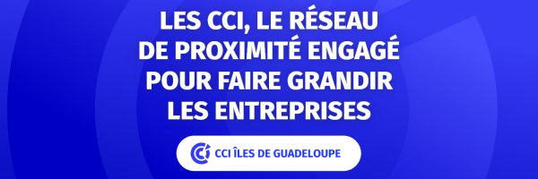 CCIGuadeloupe Profile Banner