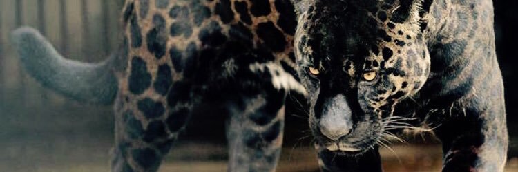 patm32suns's profile banner image