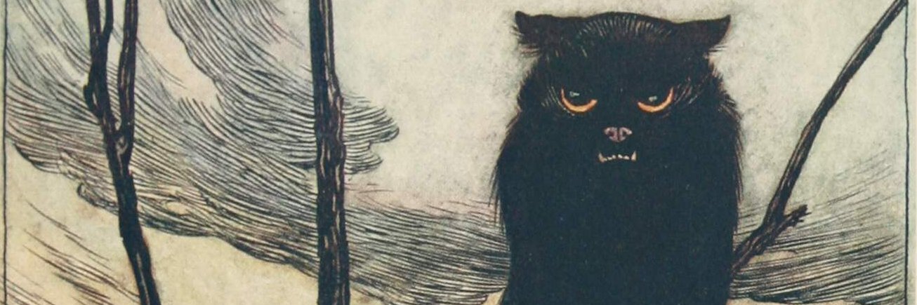 gregor (ride bikes, tax billionaires) fallis banner