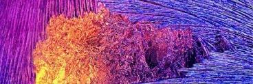 Eyesore_MA's profile banner image