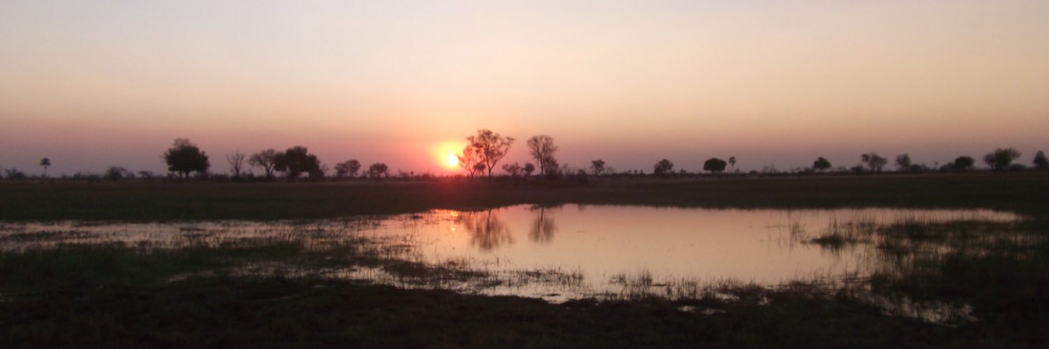 Elspeth Macdonald banner
