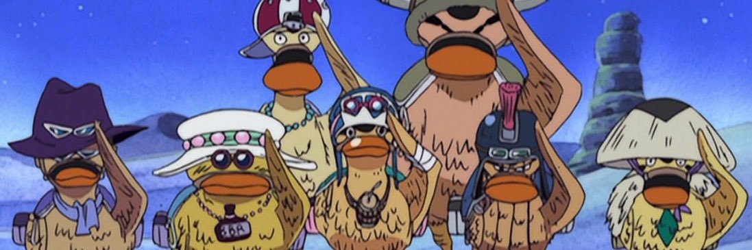 sozieo's profile banner image