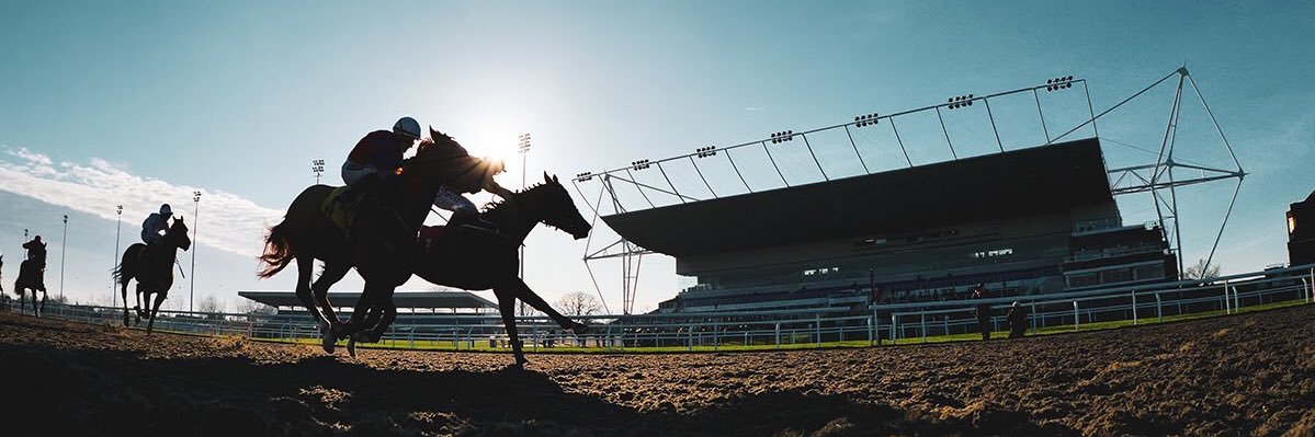 Matt Holt Tips banner