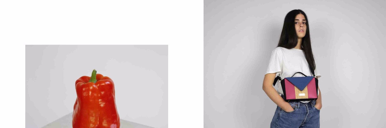Adelaide Carta banner