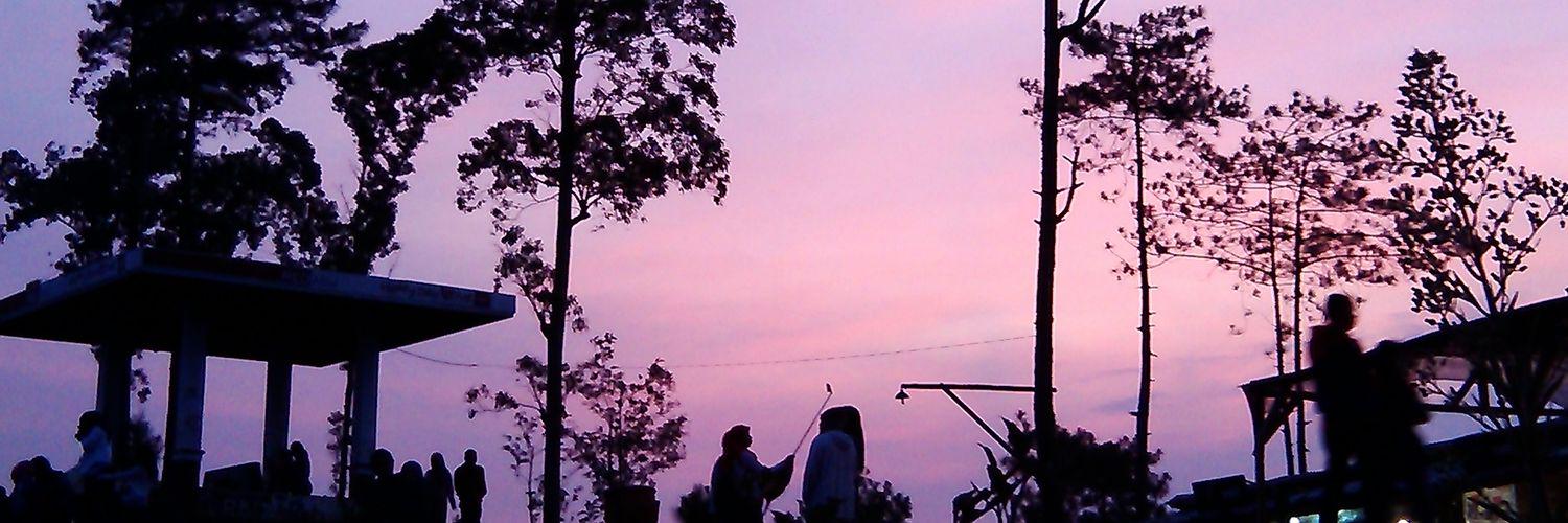 dewimanikta's profile banner image