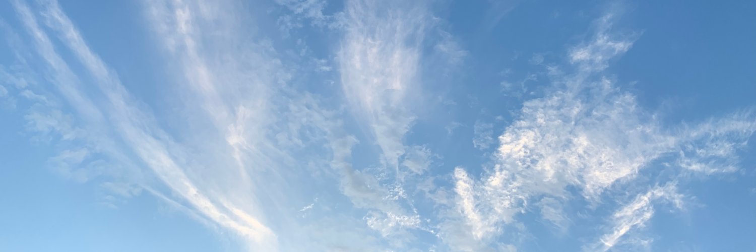 ZachBushkin's profile banner image