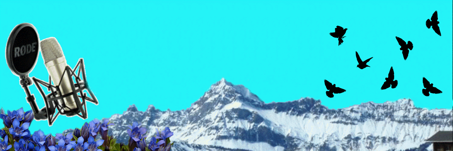 Ali Gayler VO 🐦 banner