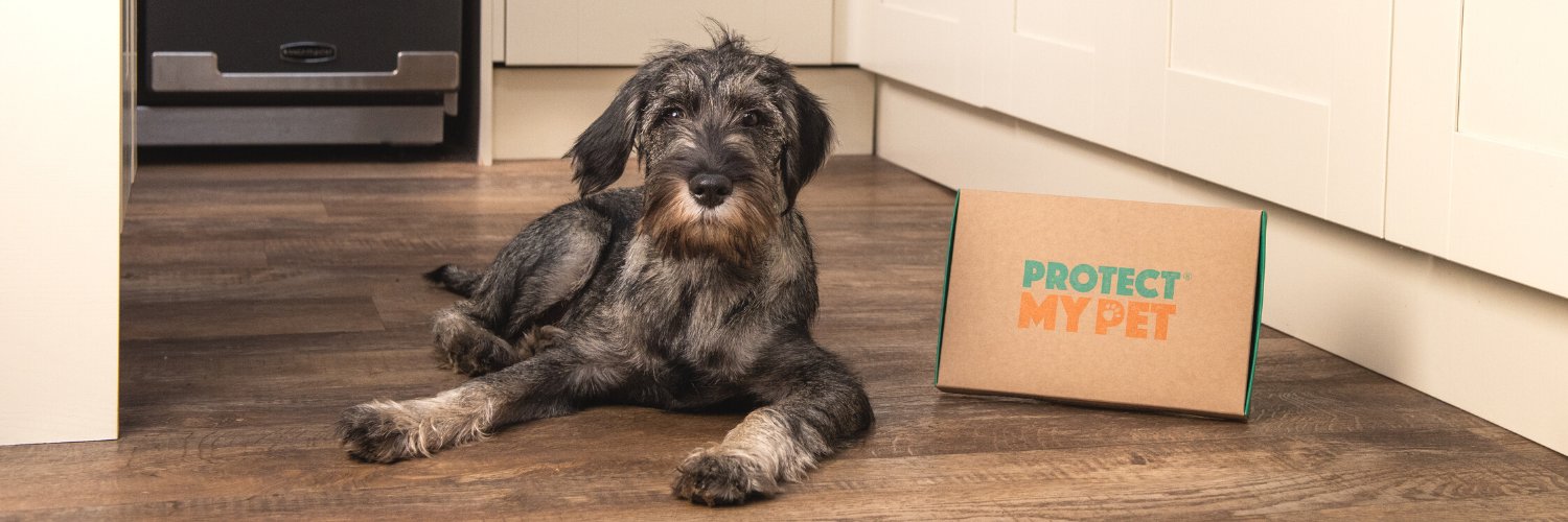 Protect_MyPet's profile banner image