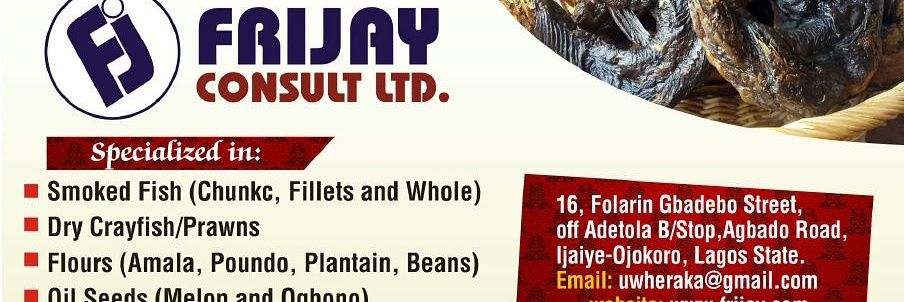 frijayconsult's profile banner image
