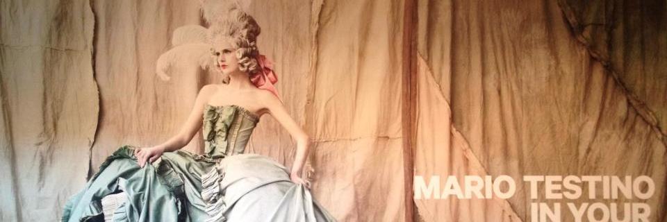 Dr Elisabeth Gernerd banner