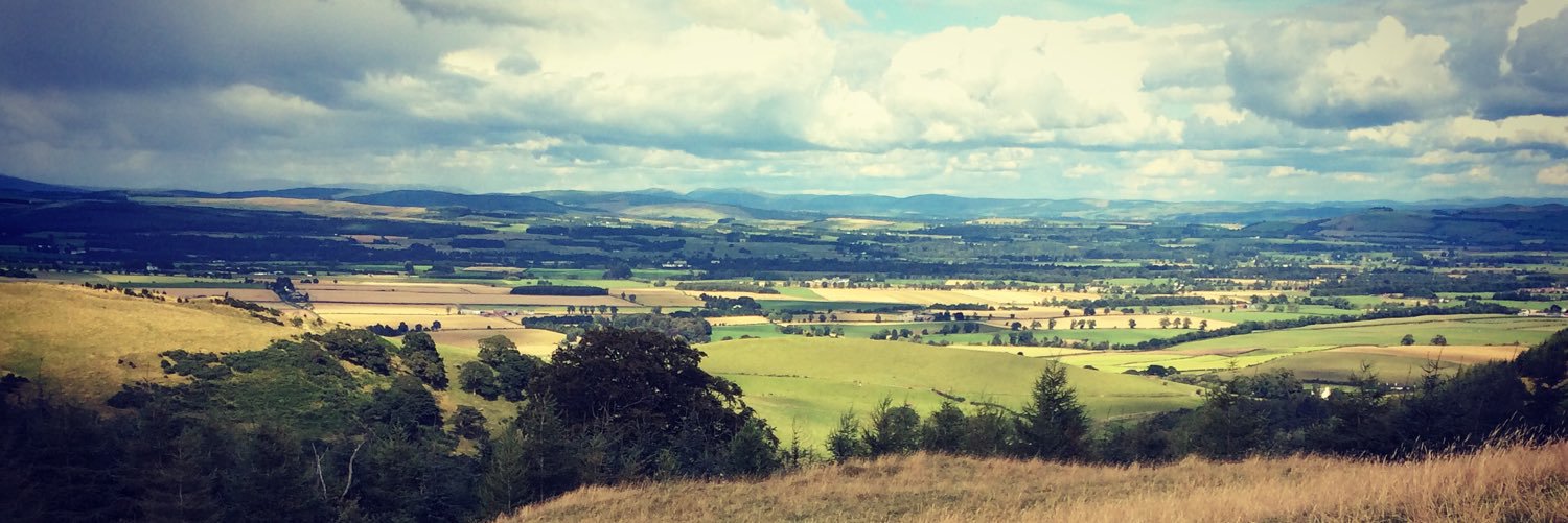clare_bethell's profile banner image