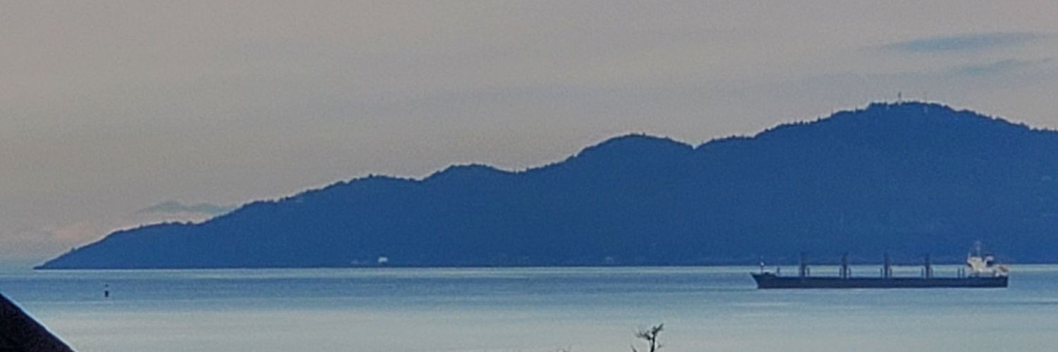 Adam Radomsky banner