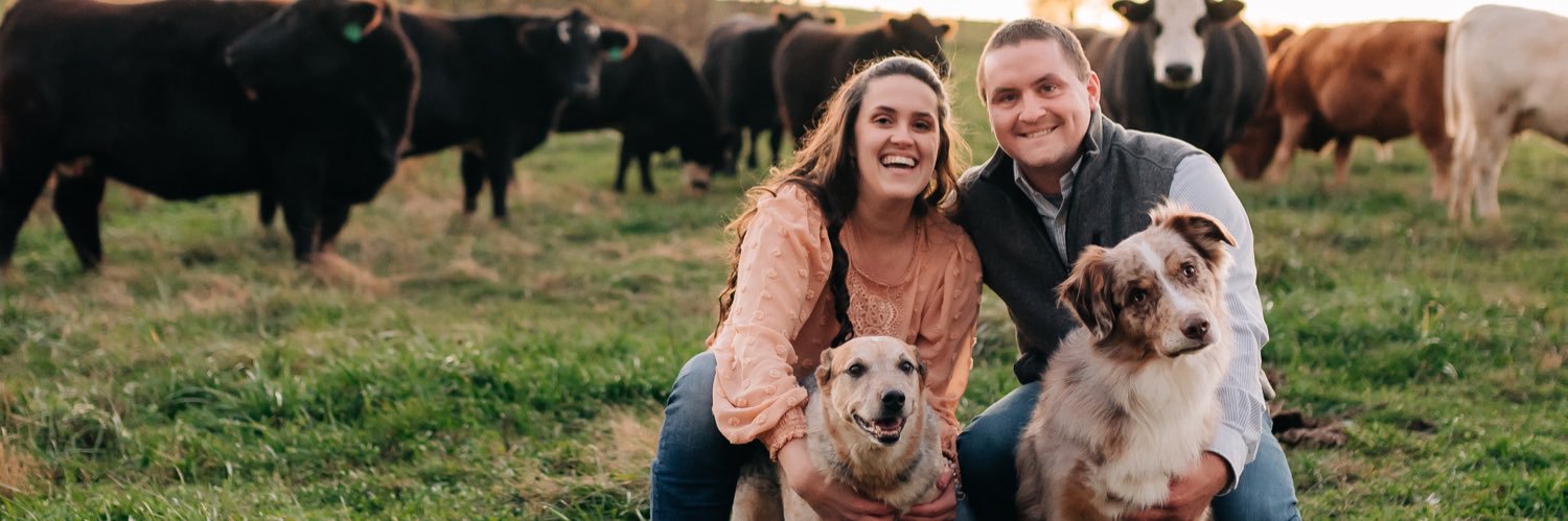 stephh_crouch's profile banner image