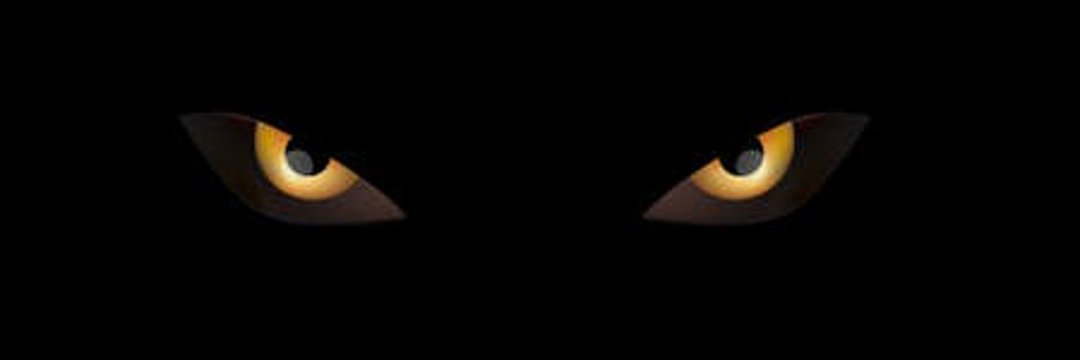 Peesee_'s profile banner image