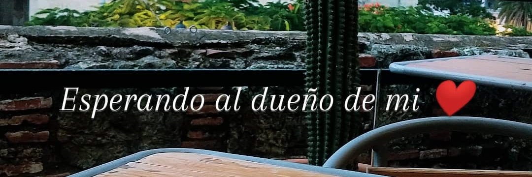 Fanny_Locutora's profile banner image