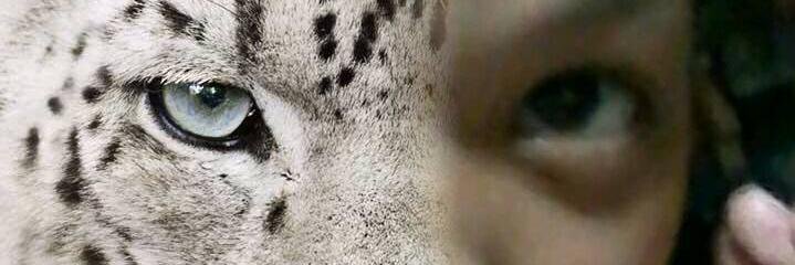 Mi_Min03's profile banner image