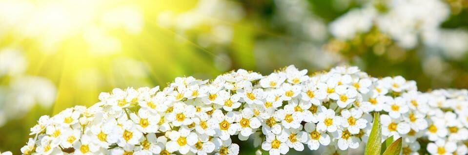 khaak9999's profile banner image