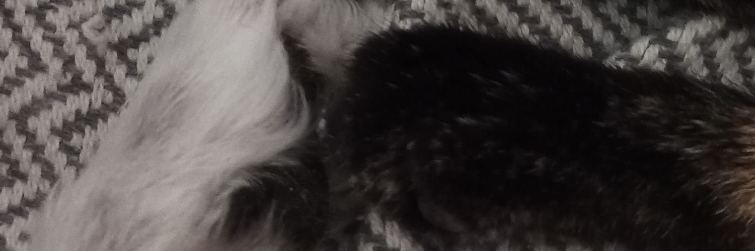 elena_28__'s profile banner image