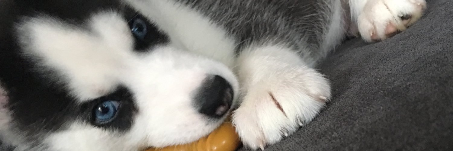 Jess banner