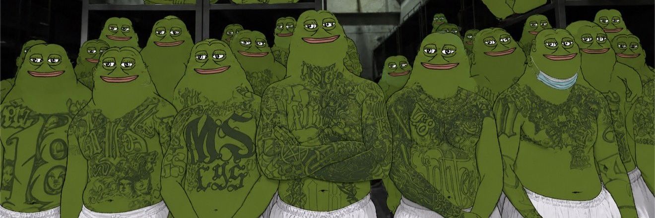 PF_Groyper's profile banner image