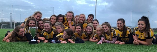 UlsterPPCamogie Profile Banner