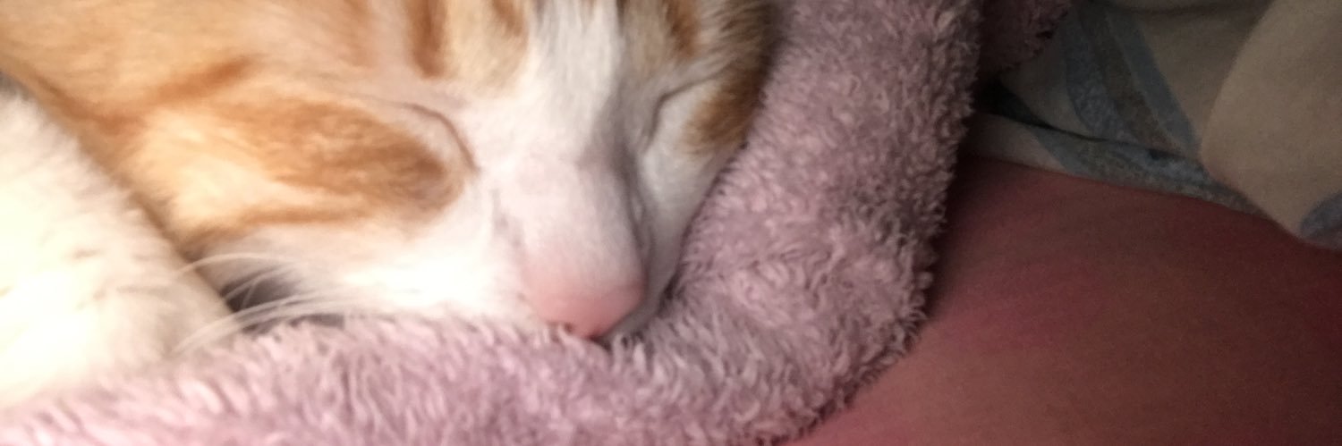 lexxsn_'s profile banner image