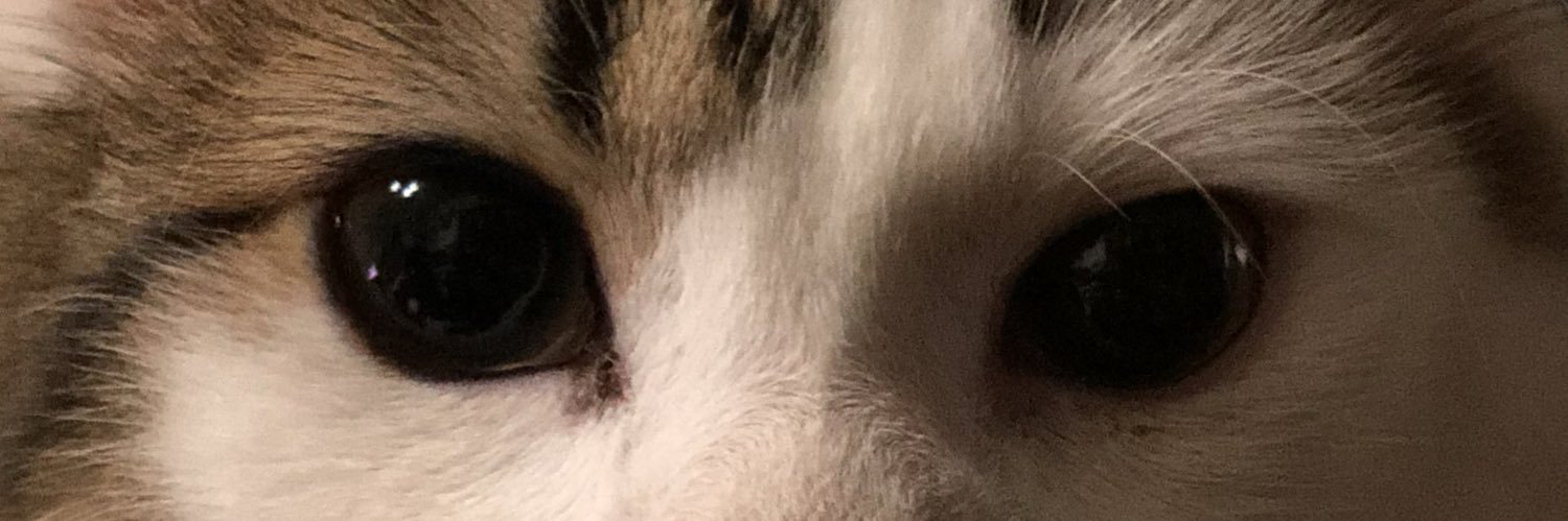 rideron3's profile banner image