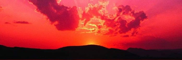 choilaiseng's profile banner image