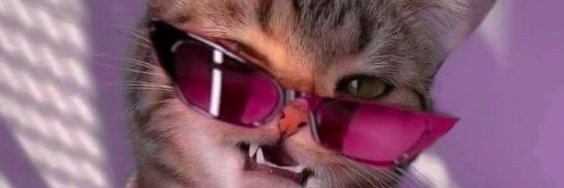 mitziekitten's profile banner image