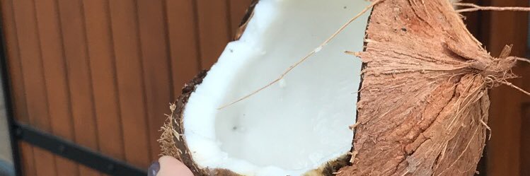 tancrededo's profile banner image