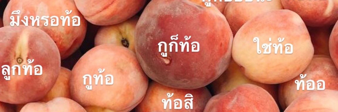빨강피치🥬🐇 banner