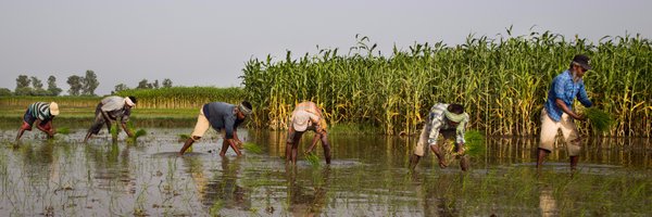 OITable Profile Banner