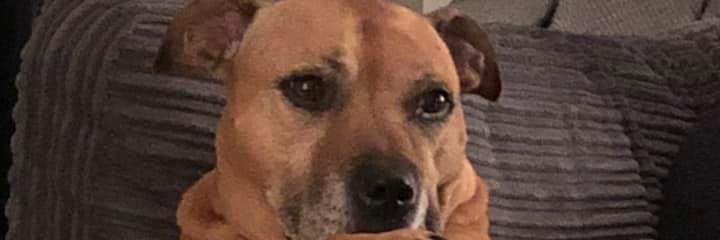 Joss Garroway banner