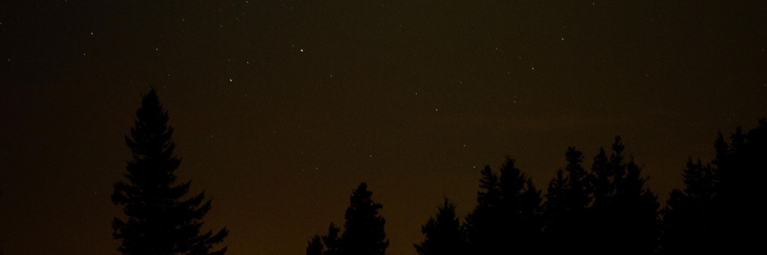 __nurgull's profile banner image