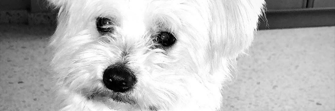 juanijimenez69's profile banner image