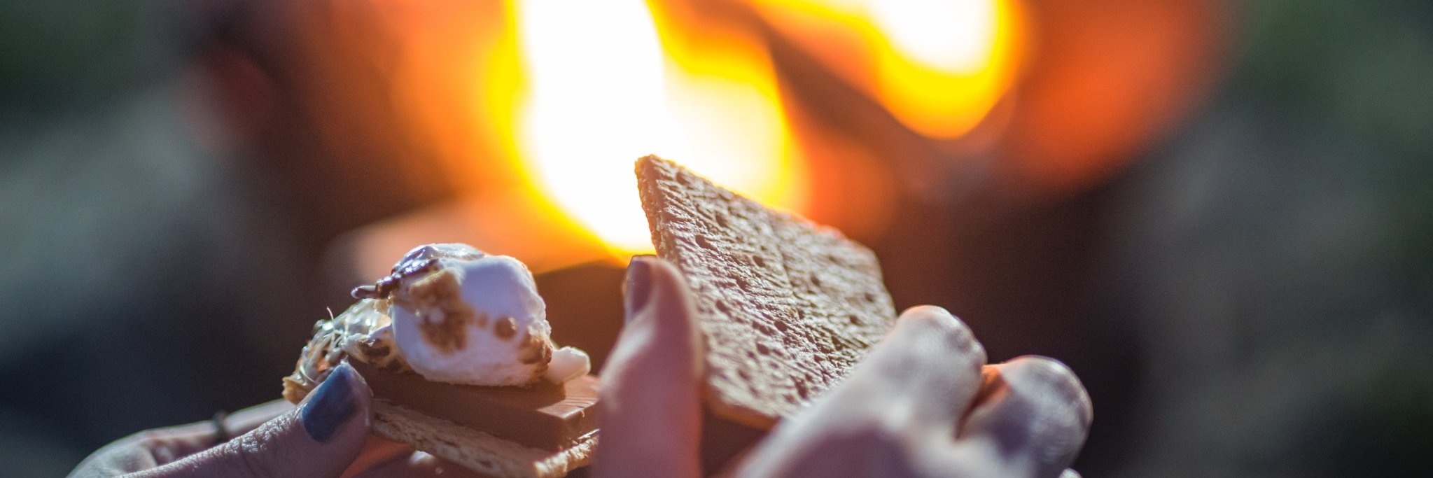 Long Point Region CA banner