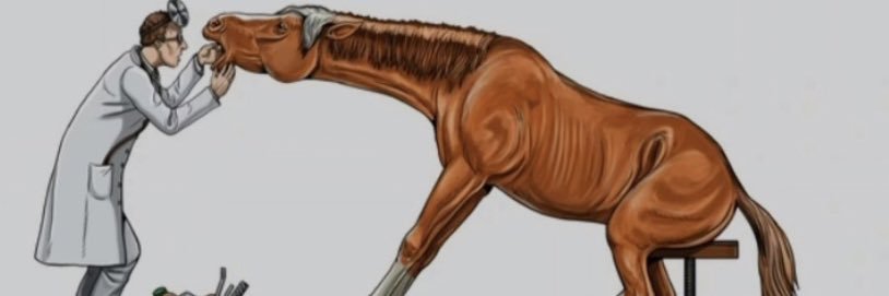 LeoAlva12's profile banner image