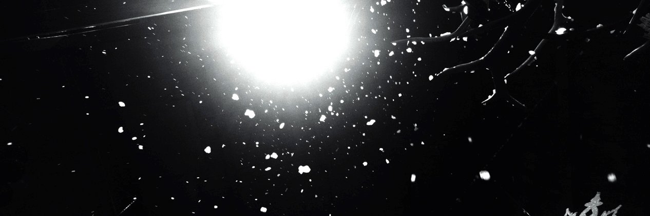 ryanbhulland's profile banner image