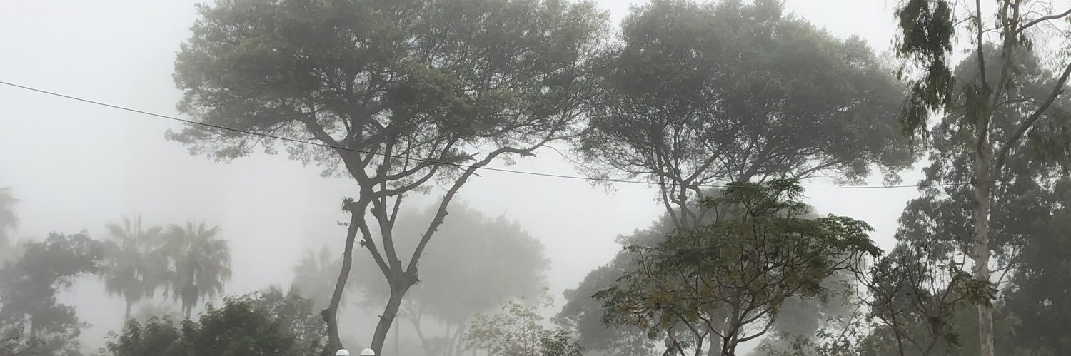 sergio llusera banner