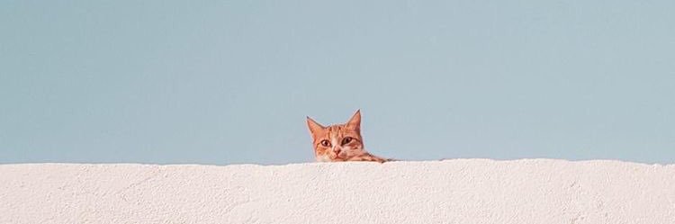 I__please's profile banner image