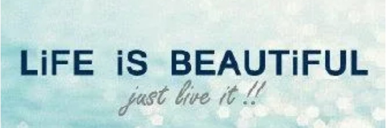 celiasanchez21's profile banner image