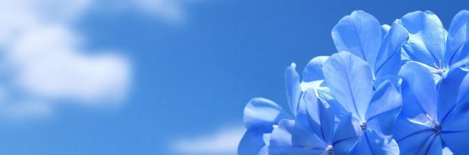 bir_der's profile banner image
