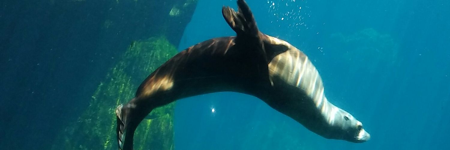 Jonathan Smith banner