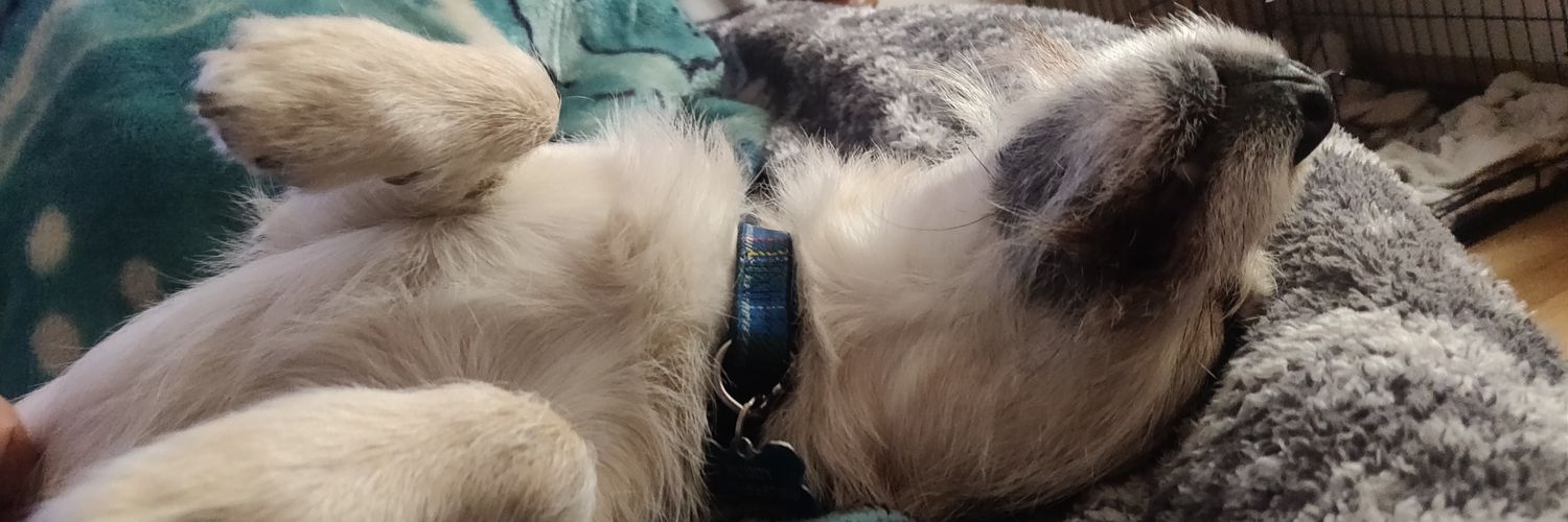 StretchDurrant's profile banner image