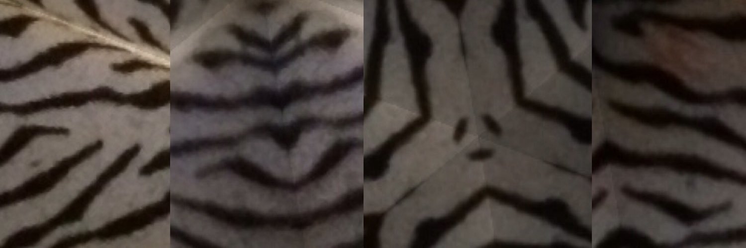 ug_411's profile banner image