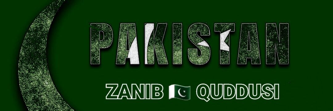Zanib01's profile banner image