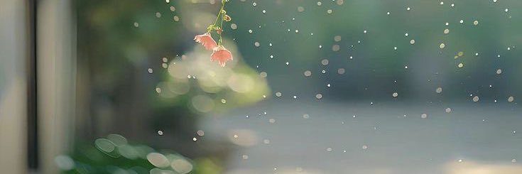 ghinashabb's profile banner image