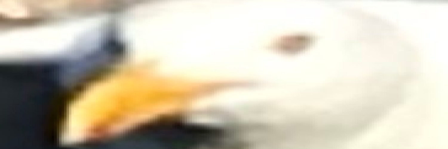 HackaFiskende's profile banner image