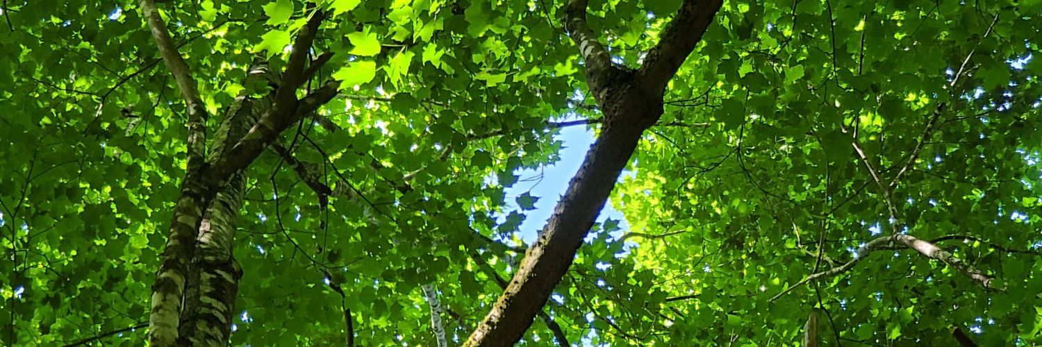 fradykay's profile banner image